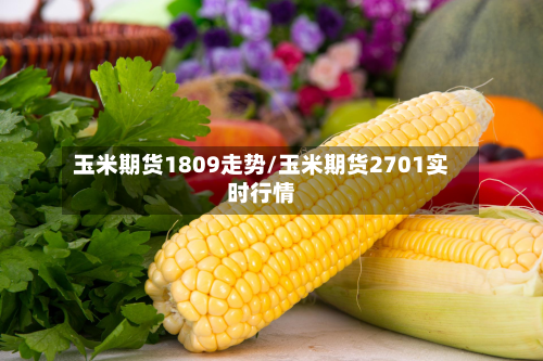 玉米期货1809走势/玉米期货2701实时行情-第2张图片