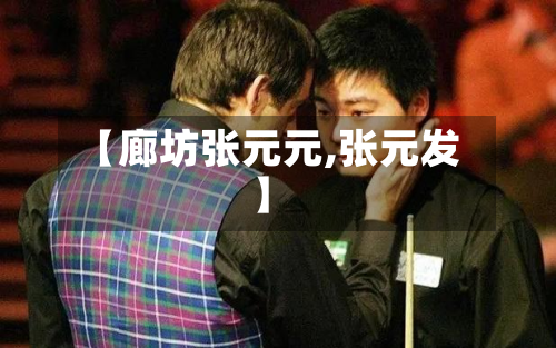 【廊坊张元元,张元发】-第2张图片