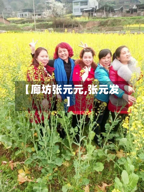 【廊坊张元元,张元发】-第1张图片