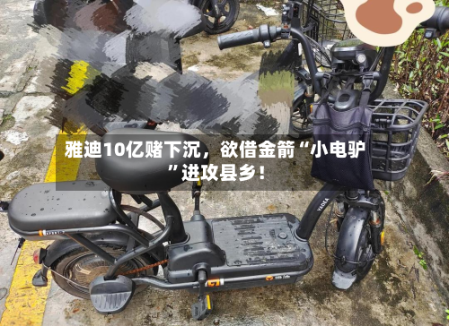 雅迪10亿赌下沉，欲借金箭“小电驴”进攻县乡！-第2张图片